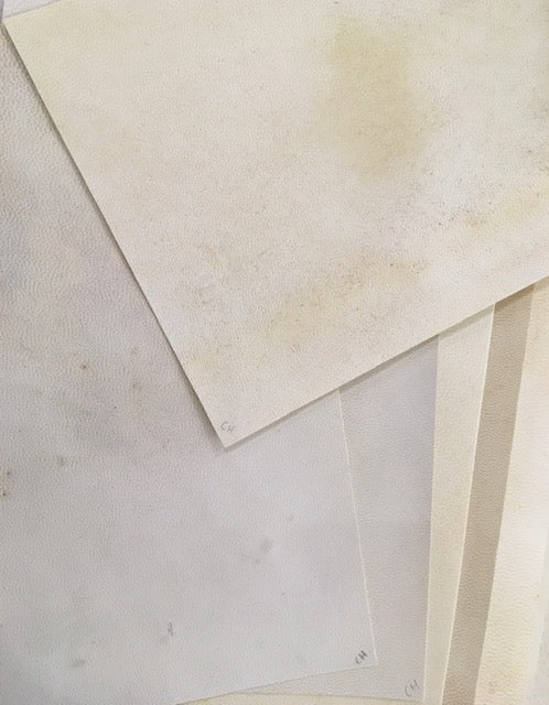 Feuille de parchemin animal A4